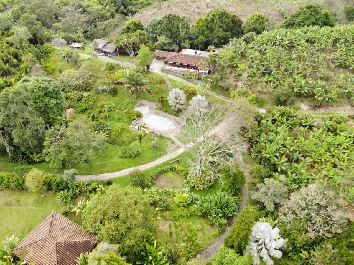 Finca La Colina Bed and Breakfast Calarcá Eksteriør billede